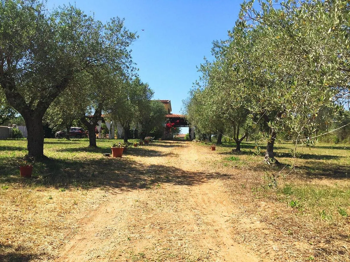 Residenza Gli Ulivi, Villa Privata Con Ampio Giardino E Uliveto Alghero